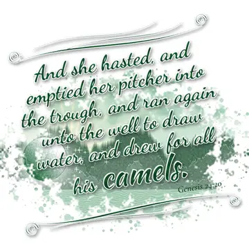 Genesis 24:20 – And she hasted, and emptied her pitcher into the trough, and ran again unto the well to draw water, and drew for all his camels.