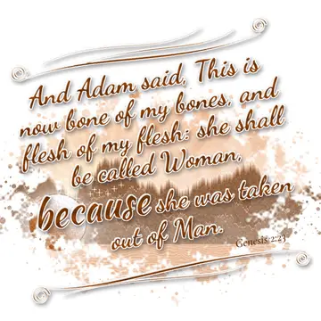 Genesis 2:23 – And Adam said, This is now bone of my bones, and flesh of my flesh: she shall be called Woman, because she was taken out of Man.