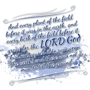 Genesis 2:5 – And every plant of the field before it was in the earth, and every herb of the field before it grew: for the LORD God had not caused it to rain upon…