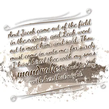 Genesis 30:16 – And Jacob came out of the field in the evening, and Leah went out to meet him, and said, Thou must come in unto me; for surely I have hired thee with…