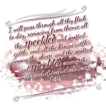 Genesis 30:32 – I will pass through all thy flock to day, removing from thence all the speckled and spotted cattle, and all the brown cattle among the sheep, and the…