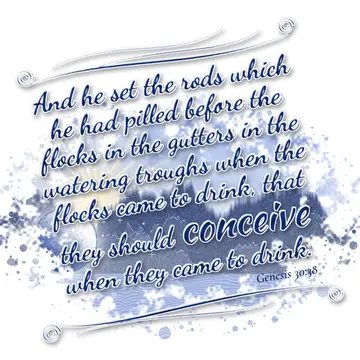 Genesis 30:38 – And he set the rods which he had pilled before the flocks in the gutters in the watering troughs when the flocks came to drink, that they should…