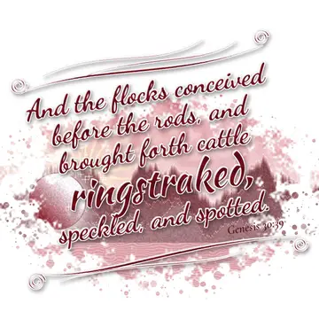 Genesis 30:39 – And the flocks conceived before the rods, and brought forth cattle ringstraked, speckled, and spotted.