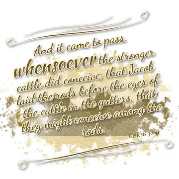 Genesis 30:41 – And it came to pass, whensoever the stronger cattle did conceive, that Jacob laid the rods before the eyes of the cattle in the gutters, that they…