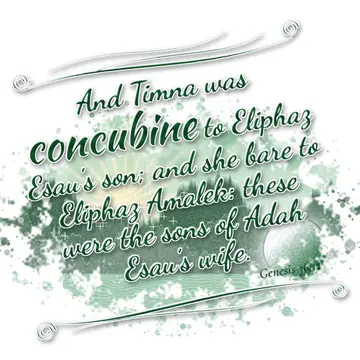 Genesis 36:12 – And Timna was concubine to Eliphaz Esau's son; and she bare to Eliphaz Amalek: these were the sons of Adah Esau's wife.