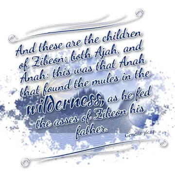 Genesis 36:24 – And these are the children of Zibeon; both Ajah, and Anah: this was that Anah that found the mules in the wilderness, as he fed the asses of Zibeon…