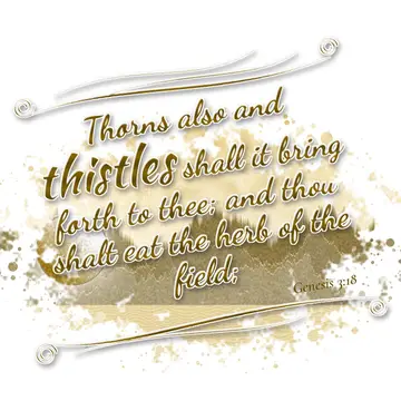 Genesis 3:18 – Thorns also and thistles shall it bring forth to thee; and thou shalt eat the herb of the field;