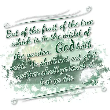 Genesis 3:3 – But of the fruit of the tree which is in the midst of the garden, God hath said, Ye shall not eat of it, neither shall ye touch it, lest ye die.