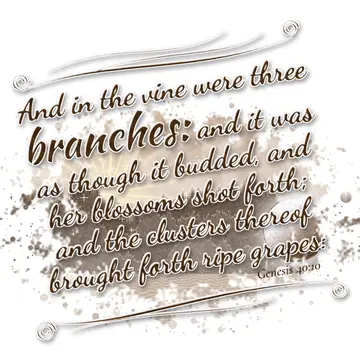 Genesis 40:10 – And in the vine were three branches: and it was as though it budded, and her blossoms shot forth; and the clusters thereof brought forth ripe grapes: