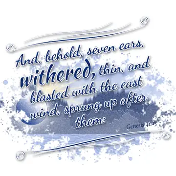 Genesis 41:23 – And, behold, seven ears, withered, thin, and blasted with the east wind, sprung up after them: