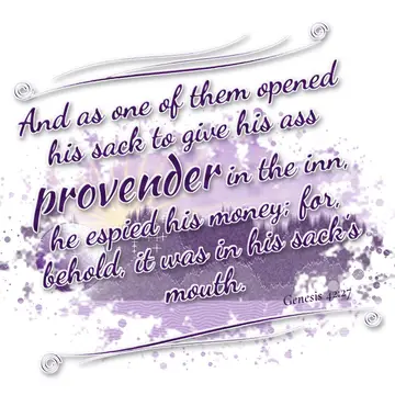 Genesis 42:27 – And as one of them opened his sack to give his ass provender in the inn, he espied his money; for, behold, it was in his sack's mouth.