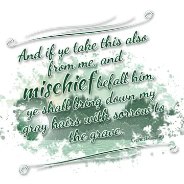 Genesis 44:29 – And if ye take this also from me, and mischief befall him, ye shall bring down my gray hairs with sorrow to the grave.