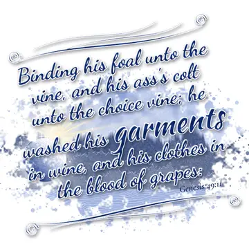 Genesis 49:11 – Binding his foal unto the vine, and his ass's colt unto the choice vine; he washed his garments in wine, and his clothes in the blood of grapes: