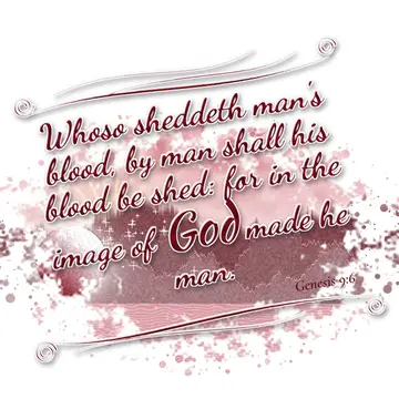 Genesis 9:6 – Whoso sheddeth man's blood, by man shall his blood be shed: for in the image of God made he man.