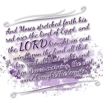 Exodus 10:13 – And Moses stretched forth his rod over the land of Egypt, and the LORD brought an east wind upon the land all that day, and all that night; and when…