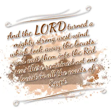 Exodus 10:19 – And the LORD turned a mighty strong west wind, which took away the locusts, and cast them into the Red sea; there remained not one locust in all the…
