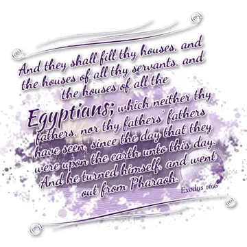 Exodus 10:6 – And they shall fill thy houses, and the houses of all thy servants, and the houses of all the Egyptians; which neither thy fathers, nor thy fathers'…