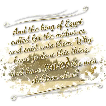 Exodus 1:18 – And the king of Egypt called for the midwives, and said unto them, Why have ye done this thing, and have saved the men children alive?