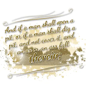 Exodus 21:33 – And if a man shall open a pit, or if a man shall dig a pit, and not cover it, and an ox or an ass fall therein;