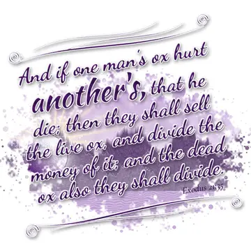 Exodus 21:35 – And if one man's ox hurt another's, that he die; then they shall sell the live ox, and divide the money of it; and the dead ox also they shall divide.