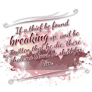 Exodus 22:2 – If a thief be found breaking up, and be smitten that he die, there shall no blood be shed for him.