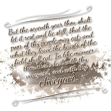 Exodus 23:11 – But the seventh year thou shalt let it rest and lie still; that the poor of thy people may eat: and what they leave the beasts of the field shall…