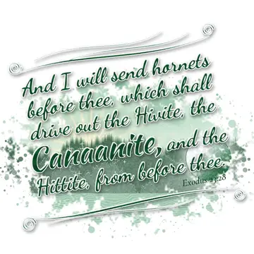 Exodus 23:28 – And I will send hornets before thee, which shall drive out the Hivite, the Canaanite, and the Hittite, from before thee.