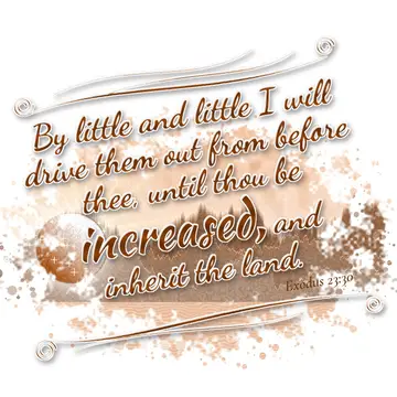Exodus 23:30 – By little and little I will drive them out from before thee, until thou be increased, and inherit the land.