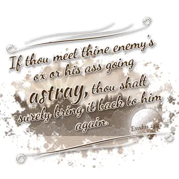 Exodus 23:4 – If thou meet thine enemy's ox or his ass going astray, thou shalt surely bring it back to him again.