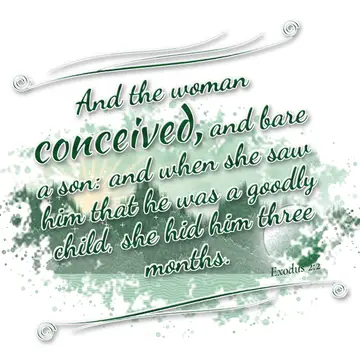 Exodus 2:2 – And the woman conceived, and bare a son: and when she saw him that he was a goodly child, she hid him three months.