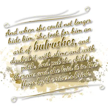 Exodus 2:3 – And when she could not longer hide him, she took for him an ark of bulrushes, and daubed it with slime and with pitch, and put the child therein; and…