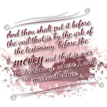 Exodus 30:6 – And thou shalt put it before the vail that is by the ark of the testimony, before the mercy seat that is over the testimony, where I will meet with…