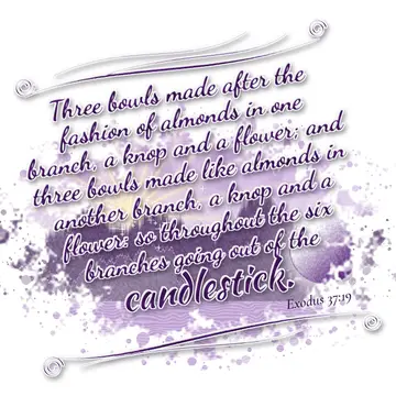 Exodus 37:19 – Three bowls made after the fashion of almonds in one branch, a knop and a flower; and three bowls made like almonds in another branch, a knop and a…