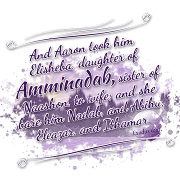 Exodus 6:23 – And Aaron took him Elisheba, daughter of Amminadab, sister of Naashon, to wife; and she bare him Nadab, and Abihu, Eleazar, and Ithamar.