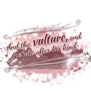 Leviticus 11:14 – And the vulture, and the kite after his kind;