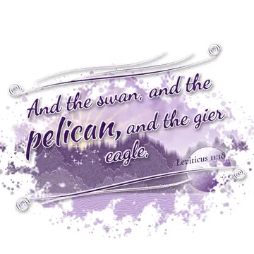 Leviticus 11:18 – And the swan, and the pelican, and the gier eagle,