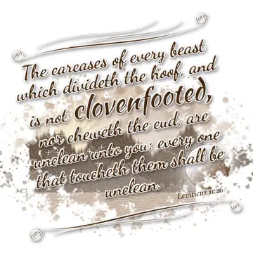 Leviticus 11:26 – The carcases of every beast which divideth the hoof, and is not clovenfooted, nor cheweth the cud, are unclean unto you: every one that toucheth them…