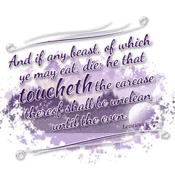 Leviticus 11:39 – And if any beast, of which ye may eat, die; he that toucheth the carcase thereof shall be unclean until the even.