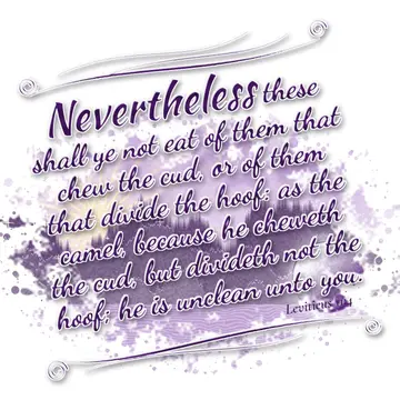 Leviticus 11:4 – Nevertheless these shall ye not eat of them that chew the cud, or of them that divide the hoof: as the camel, because he cheweth the cud, but…