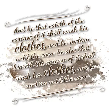 Leviticus 11:40 – And he that eateth of the carcase of it shall wash his clothes, and be unclean until the even: he also that beareth the carcase of it shall wash his…