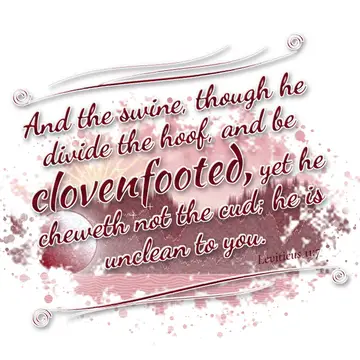 Leviticus 11:7 – And the swine, though he divide the hoof, and be clovenfooted, yet he cheweth not the cud; he is unclean to you.
