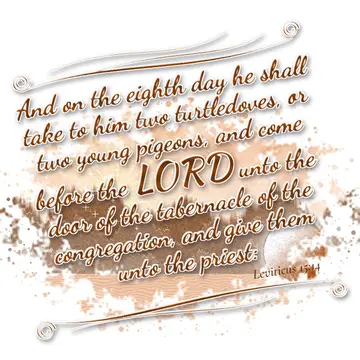 Leviticus 15:14 – And on the eighth day he shall take to him two turtledoves, or two young pigeons, and come before the LORD unto the door of the tabernacle of the…