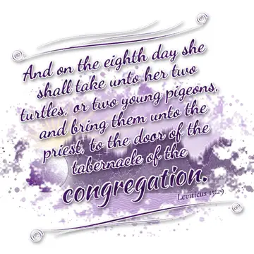 Leviticus 15:29 – And on the eighth day she shall take unto her two turtles, or two young pigeons, and bring them unto the priest, to the door of the tabernacle of the…