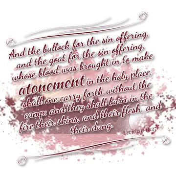 Leviticus 16:27 – And the bullock for the sin offering, and the goat for the sin offering, whose blood was brought in to make atonement in the holy place, shall one…