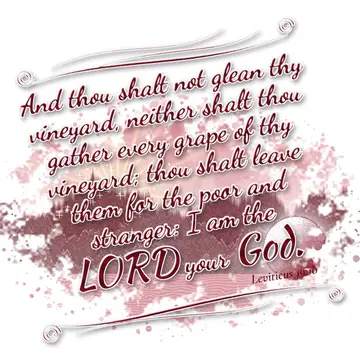 Leviticus 19:10 – And thou shalt not glean thy vineyard, neither shalt thou gather every grape of thy vineyard; thou shalt leave them for the poor and stranger: I am…