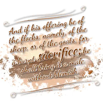 Leviticus 1:10 – And if his offering be of the flocks, namely, of the sheep, or of the goats, for a burnt sacrifice; he shall bring it a male without blemish.