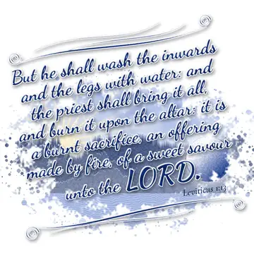 Leviticus 1:13 – But he shall wash the inwards and the legs with water: and the priest shall bring it all, and burn it upon the altar: it is a burnt sacrifice, an…