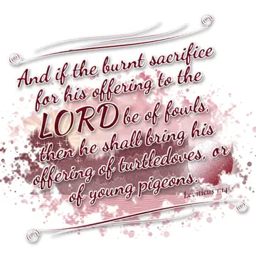 Leviticus 1:14 – And if the burnt sacrifice for his offering to the LORD be of fowls, then he shall bring his offering of turtledoves, or of young pigeons.