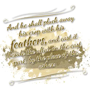 Leviticus 1:16 – And he shall pluck away his crop with his feathers, and cast it beside the altar on the east part, by the place of the ashes: