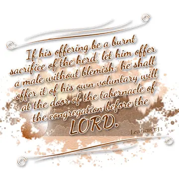 Leviticus 1:3 – If his offering be a burnt sacrifice of the herd, let him offer a male without blemish: he shall offer it of his own voluntary will at the door of…